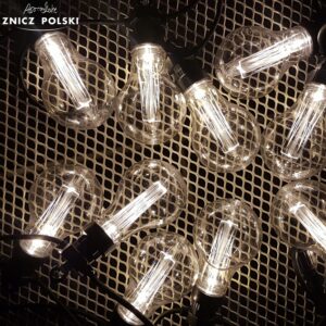 Girlanda ogrodowa żarówki 10szt