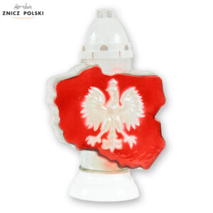 Pamiętam, jestem wdzięczny, dziękuję. Znicz Patriotyczny Narodowy POLSKA