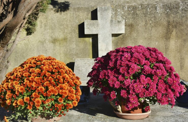 Znicze wielkanocne nowości