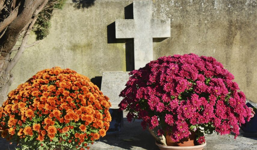 Znicze wielkanocne nowości